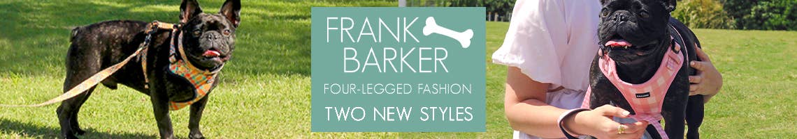 Orange Plaid Collection