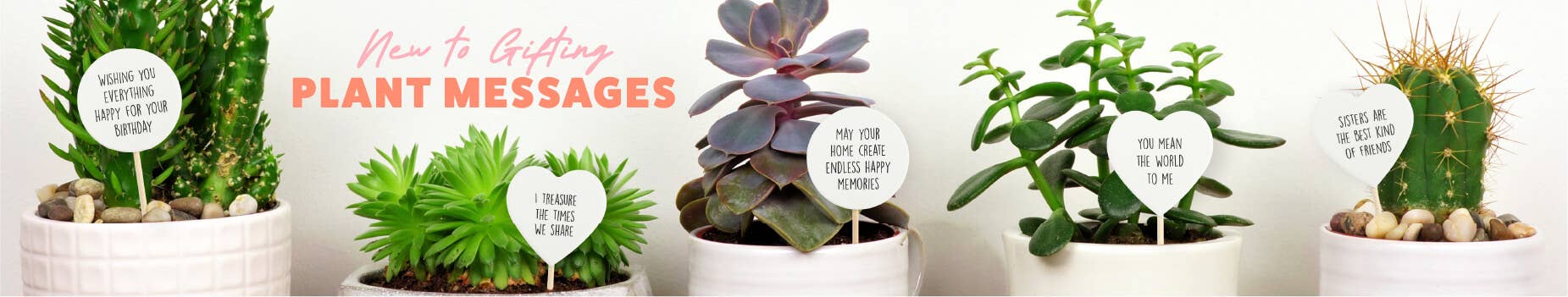 Plant Messages