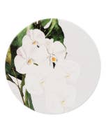 Greenhouse Pansy Ceramic Coaster