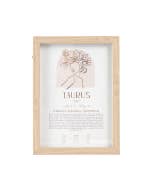 Mystique Framed Print Taurus