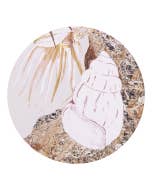 Palm Cove Seashell Ceramic Coaster